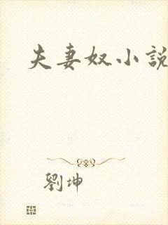 夫妻奴小说封面