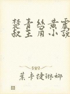 楚青丝黄震和陈叔主角小说免费阅读全文