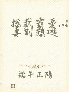总裁霸爱,小娇妻别想逃