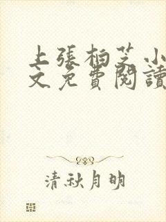 上张柏芝小说全文免费阅读