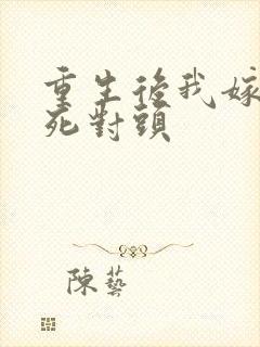 重生后我嫁给了死对头