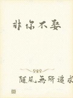 非你不娶