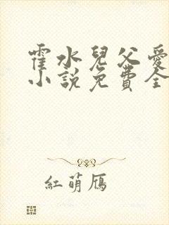 霍水儿父爱霍泽小说免费全文阅读续集封面