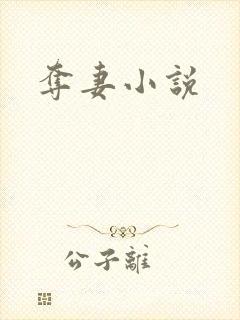 夺妻小说封面