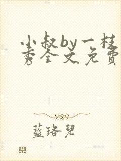 小叔by一枝独秀全文免费阅读笔趣阁最