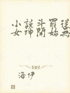 小说斗罗从俘获女神开始无敌