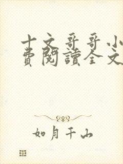 十文哥哥小说免费阅读全文