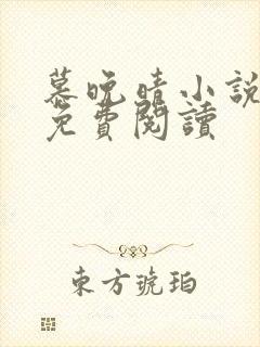 慕晚晴小说全文免费阅读封面
