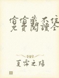 偷偷藏不住小说免费阅读全文下载