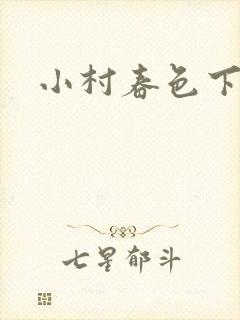 小村春色下载