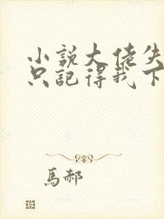 小说大佬失忆后只记得我下载封面