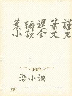 叶栖迟萧谨行的小说全文免费阅读封面
