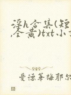 淫h合集(短篇,全黄)txt小说封面