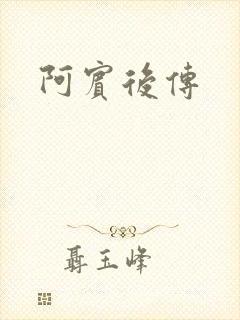 阿宾后传