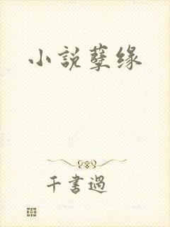 小说孽缘