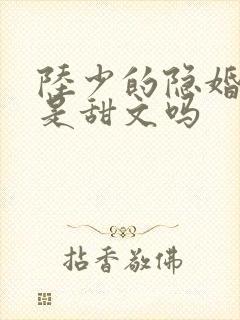 陆少的隐婚罪妻是甜文吗封面
