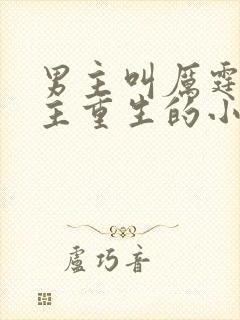 男主叫厉霆骁女主重生的小说