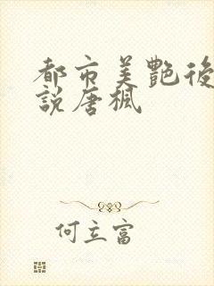 都市美艳后宫小说唐枫封面