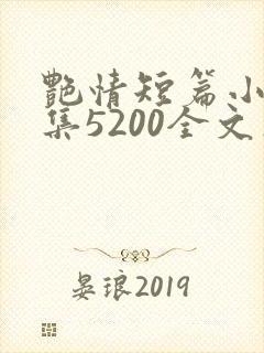 艳情短篇小说合集5200全文在线阅读