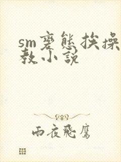 sm变态挨操调教小说