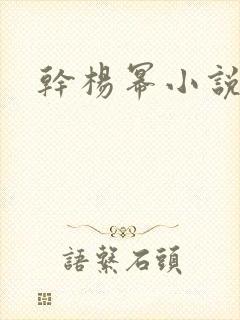 干杨幂小说