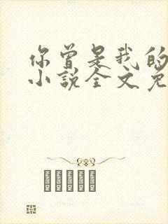 你曾是我的唯一小说全文免费阅读