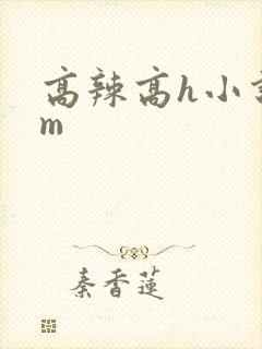 高辣高h小说sm