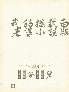 我的总裁白富美老婆小说版