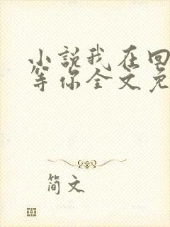 小说我在回忆里等你全文免费阅读