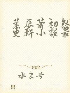 叶辰萧初然最快更新小说最新封面