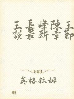 王长峰陈玉娆小说最新章节更新内容