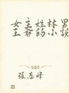 女主姓林男主是王爷的小说