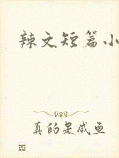 辣文短篇小说封面