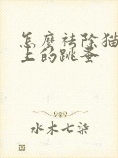 怎么祛除猫咪身上的跳蚤封面
