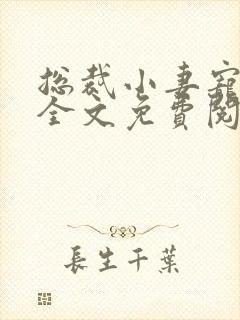 总裁小妻宠上天全文免费阅读