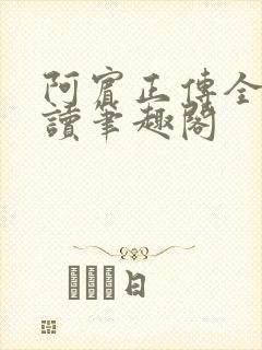 阿宾正传全文阅读笔趣阁