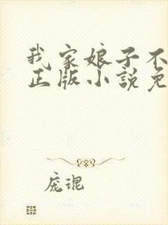 我家娘子不对劲正版小说免费阅读