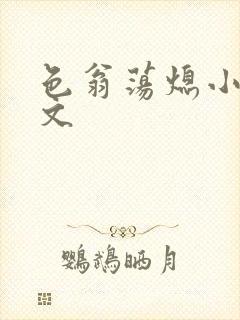 色翁荡熄小说全文