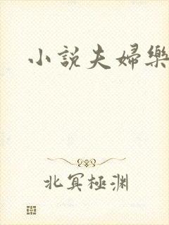 小说夫妇乐园封面