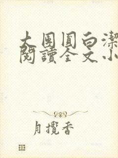 大团圆白洁免费阅读全文小说