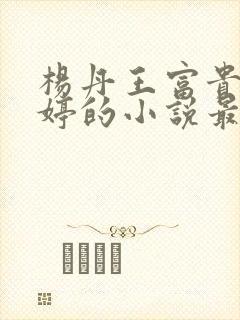 杨丹王富贵苏曼婷的小说最新章节更封面