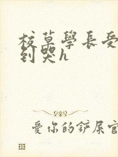 校草学长受被做到哭h封面
