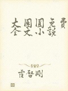 大团圆免费阅读全文小说封面