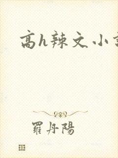 高h辣文小说