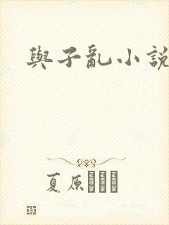 与子乱小说