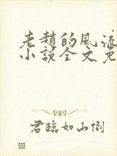 老赵的风流人生小说全文免费阅读