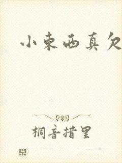 小东西真欠弄封面