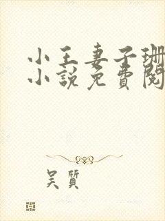 小王妻子珊珊的小说免费阅读