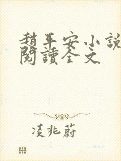赵平安小说免费阅读全文封面