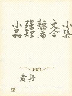 小强辣文小说精品短篇合集封面